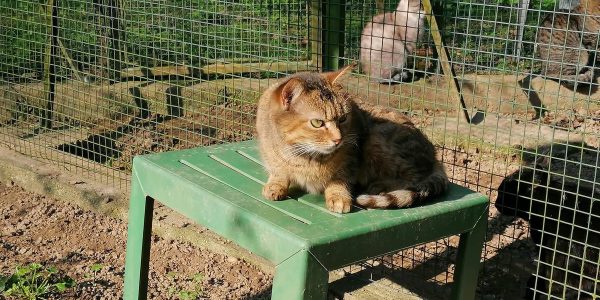 Un moment de calme au milieu du chaos, l'espoir d'un avenir meilleur